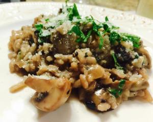 11998855_884119121663950_1155261982461079633_n